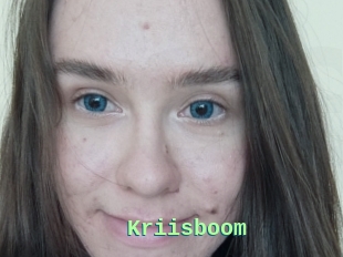Kriisboom