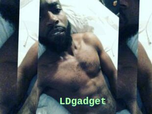 LDgadget