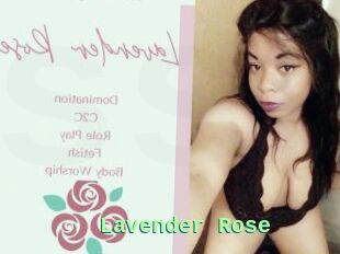 Lavender_Rose