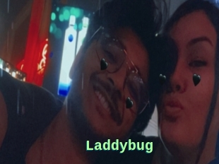 Laddybug
