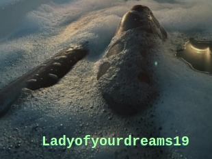 Ladyofyourdreams19