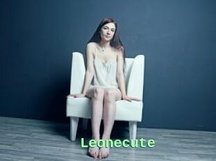 Leonecute