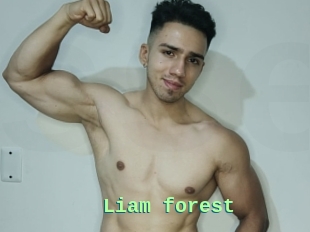 Liam_forest