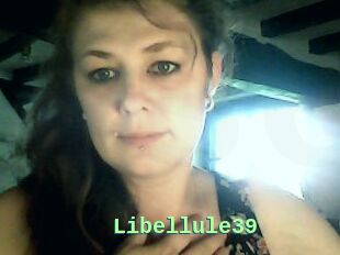 Libellule39