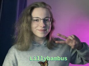 Lillybambus