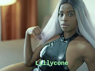 Lillycone