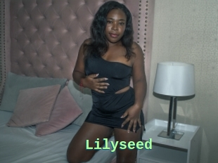 Lilyseed
