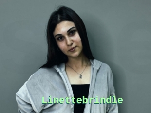 Linettebrindle