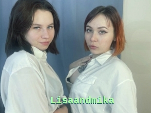Lisaandmika
