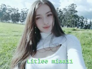 Litlee_miaa11