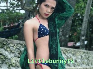 Littlebunnyts