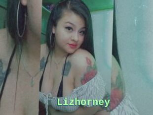Lizhorney