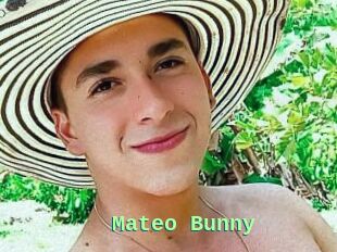 Mateo_Bunny