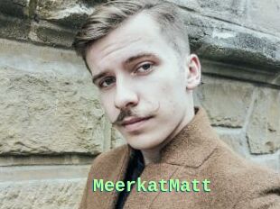 MeerkatMatt