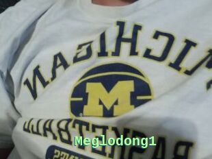 Meglodong1