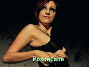 Moxie_Cane