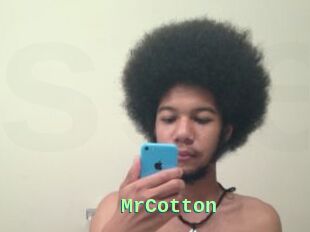 MrCotton