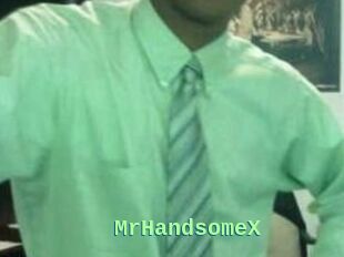 MrHandsomeX
