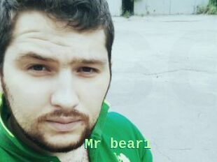 Mr_bear1