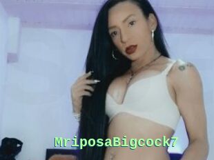 MriposaBigcock7