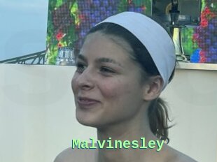 Malvinesley