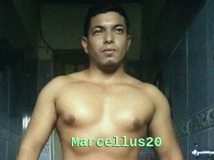 Marcellus20
