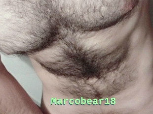 Marcobear18