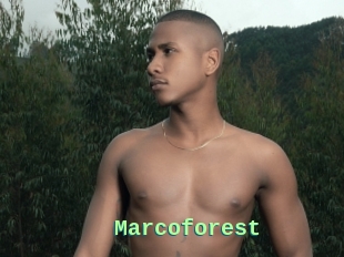 Marcoforest
