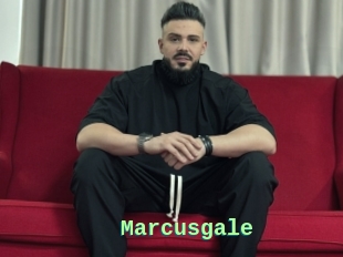 Marcusgale