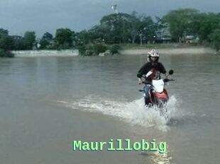 Maurillobig
