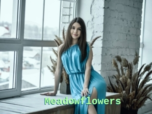 Meadowflowers