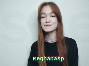 Meghanasp