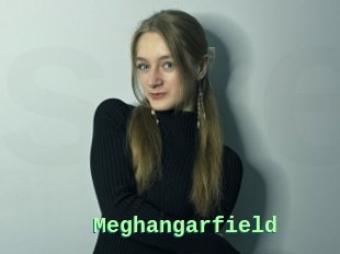 Meghangarfield