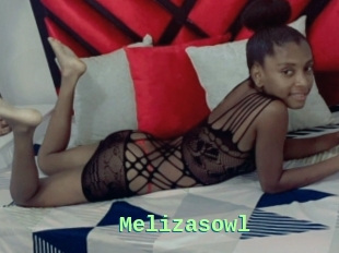 Melizasowl