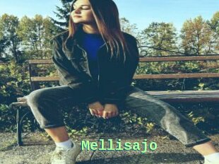 Mellisajo