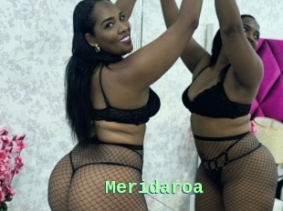 Meridaroa