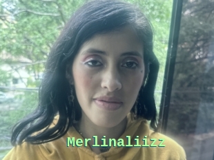 Merlinaliizz