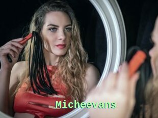 Micheevans