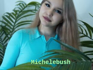 Michelebush