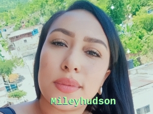 Mileyhudson