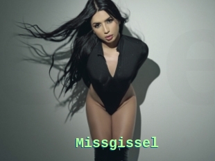 Missgissel
