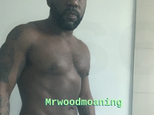 Mrwoodmoaning