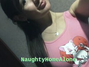 NaughtyHomeAlone