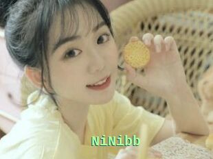 NiNibb