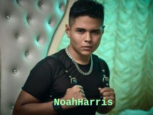 NoahHarris