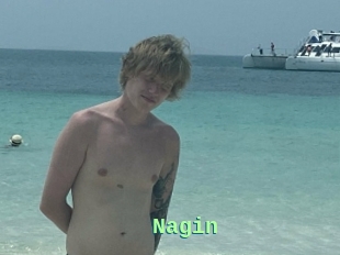 Nagin