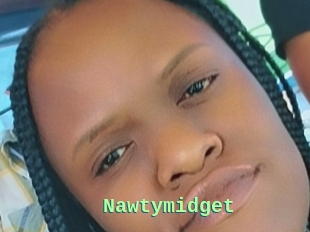 Nawtymidget