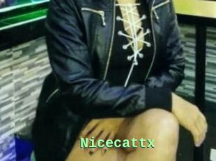 Nicecattx