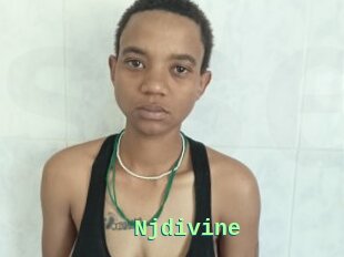 Njdivine