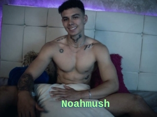 Noahmush